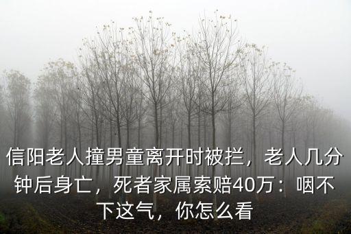 信陽兒童老人相撞哪里,信陽老人撞傷兒童被阻后猝死