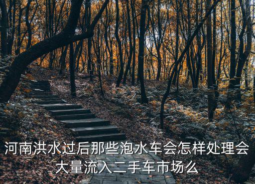 河南大水最后會流向哪里,新鄉的雨水流向哪里