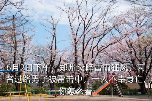 6月2日下午，鄭州突降雷雨狂風，兩名過路男子被雷擊中，一人不幸身亡,你怎么看