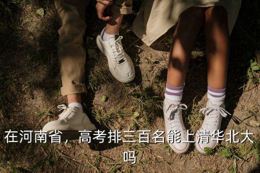 河南能上多少本科概率,有多少人能上本科