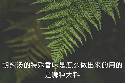 胡辣湯的特殊香味是怎么做出來的用的是哪種大料