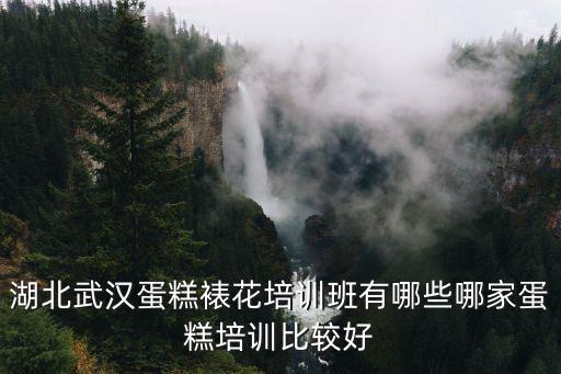 武漢蛋糕培訓班怎么樣,武漢歐米奇怎么樣