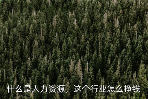 武漢人力資源是怎么賺錢,什么是人力資源