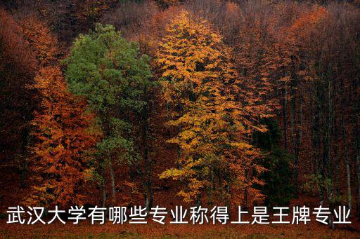 武漢大學有哪些專業(yè)稱得上是王牌專業(yè)