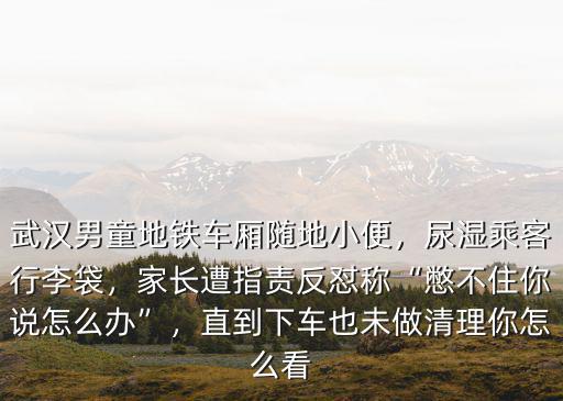 武漢地鐵小孩子怎么收費(fèi),武漢男童地鐵車廂隨地小便