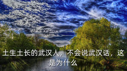 武漢臺詞怎么說,不會說武漢話