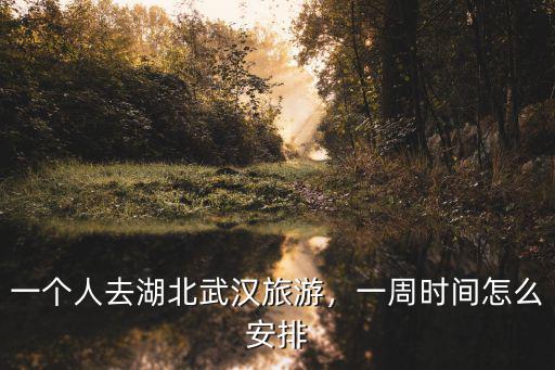 武漢一個人怎么去東湖,一個人怎么在武漢玩