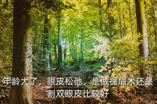 年齡大了，眼皮松弛，是做提眉術還是割雙眼皮比較好