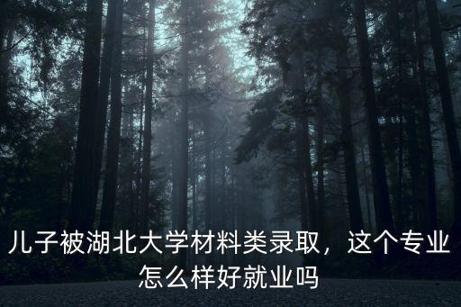 兒子被湖北大學材料類錄取，這個專業怎么樣好就業嗎