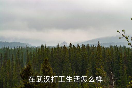 在武漢打工生活怎么樣