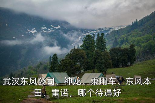 武漢東風河西工資怎么樣,武漢東風汽配廠待遇怎么樣