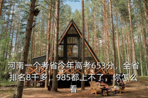 河南高考大爺今年考多少,都說河南高考最難