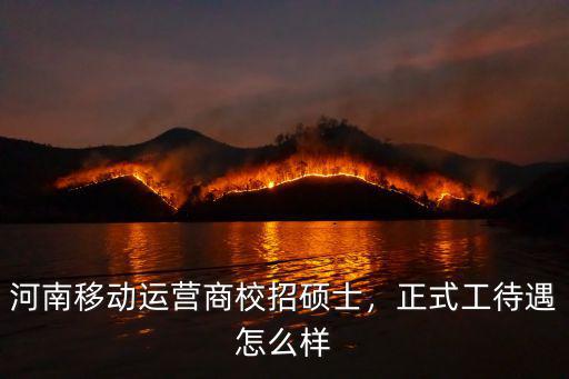 河南航投碩士待遇怎么樣,正式工待遇怎么樣