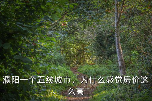 濮陽一個五線城市，為什么感覺房價這么高
