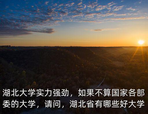 湖北大學(xué)實(shí)力強(qiáng)勁，如果不算國家各部委的大學(xué)，請(qǐng)問，湖北省有哪些好大學(xué)
