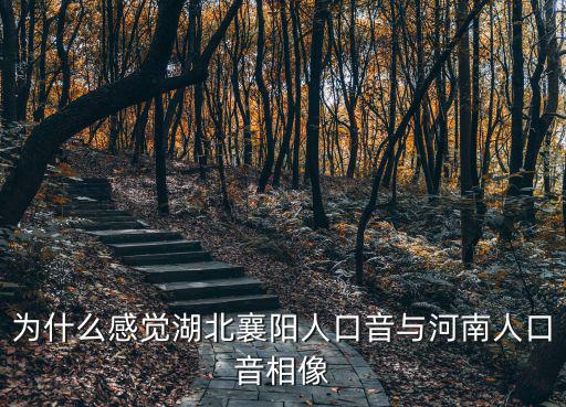 湖北口音怎么回事,請問怎么回事