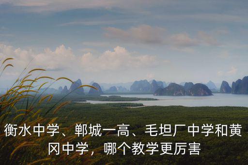 衡水中學、鄲城一高、毛坦廠中學和黃岡中學，哪個教學更厲害
