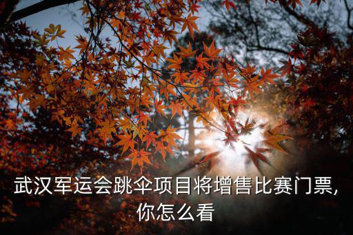 武漢軍運會比賽怎么買票,武漢軍運會體育比賽門票開售