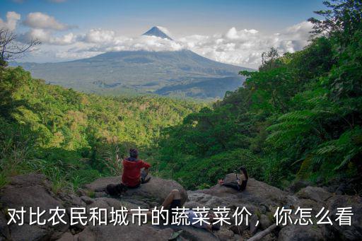 對比農民和城市的蔬菜菜價，你怎么看