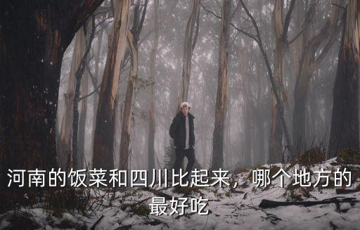 河南哪里的味道好吃,河南哪兒的燴面最好吃