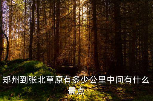 鄭州到雁門關怎么乘車,忻州去雁門關怎么走好