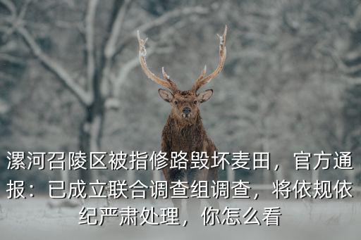 漯河召陵區(qū)被指修路毀壞麥田，官方通報(bào)：已成立聯(lián)合調(diào)查組調(diào)查，將依規(guī)依紀(jì)嚴(yán)肅處理，你怎么看