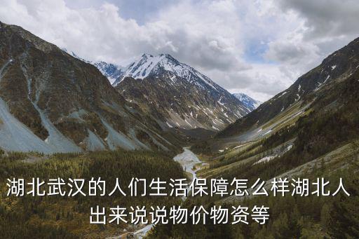 湖北武漢的人們生活保障怎么樣湖北人出來說說物價(jià)物資等