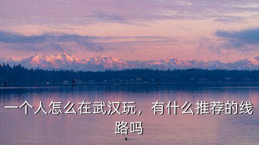 一個(gè)人怎么在武漢玩，有什么推薦的線(xiàn)路嗎