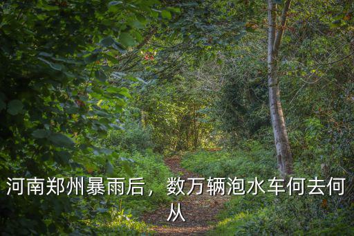 鄭州這些泡水車怎么處理,被泡過的車該怎么處理呢