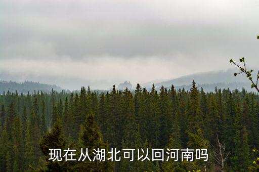 現在從邢臺怎么回河南,現在從湖北可以回河南嗎
