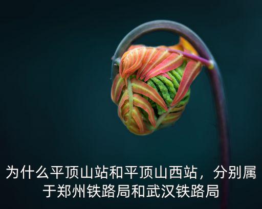 為什么平頂山站和平頂山西站，分別屬于鄭州鐵路局和武漢鐵路局