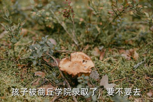 商丘紅孩子童鞋怎么樣,商丘學院怎么樣