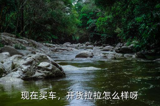 現在買車，開貨拉拉怎么樣呀