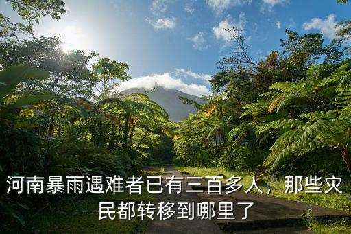 河南暴雨在哪里避難,河南暴雨襲城