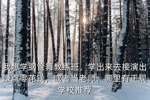 我想學(xué)鋼管舞教練班，學(xué)出來去接演出賺點(diǎn)零花錢，或者當(dāng)老師，哪里有正規(guī)學(xué)校推薦