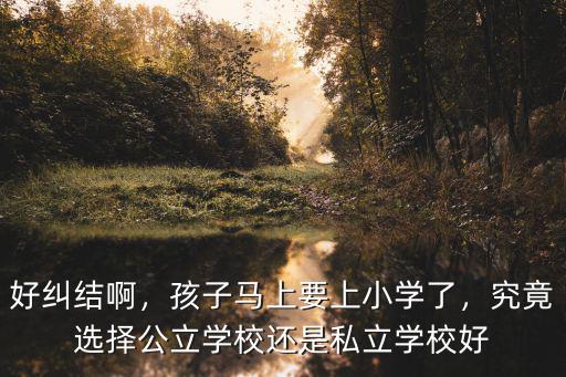 武漢私立學校小學怎么進入,武漢崇文外國語學校怎么樣