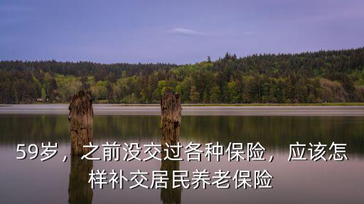 59歲，之前沒交過各種保險，應該怎樣補交居民養老保險