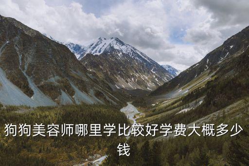 狗狗美容師哪里學比較好學費大概多少錢