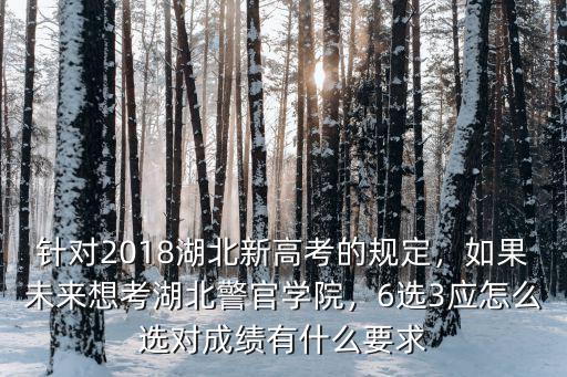 針對2018湖北新高考的規定，如果未來想考湖北警官學院，6選3應怎么選對成績有什么要求