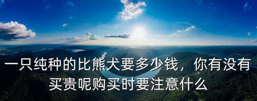 一只純種的比熊犬要多少錢，你有沒有買貴呢購買時要注意什么