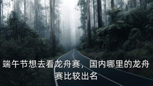 端午節想去看龍舟賽，國內哪里的龍舟賽比較出名