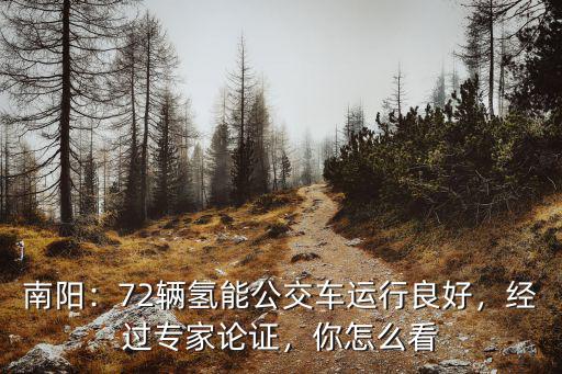 南陽：72輛氫能公交車運行良好，經(jīng)過專家論證，你怎么看