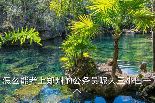 怎么能考上鄭州的公務(wù)員呢大三小白一個(gè)