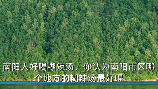 南陽人好喝糊辣湯，你認為南陽市區哪個地方的糊辣湯最好喝