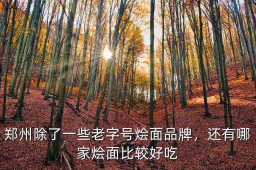 鄭州燴面多少一斤,鄭州多家燴面漲價(jià)