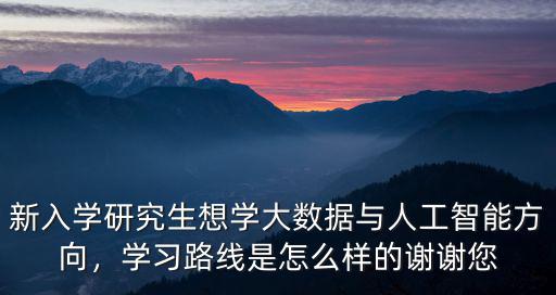 新入學研究生想學大數據與人工智能方向，學習路線是怎么樣的謝謝您