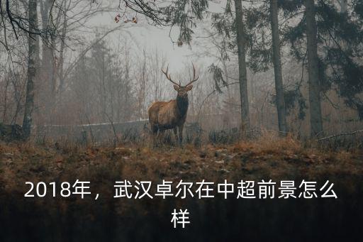 武漢卓爾航空投資待遇怎么樣,小米會投資武漢卓爾嗎