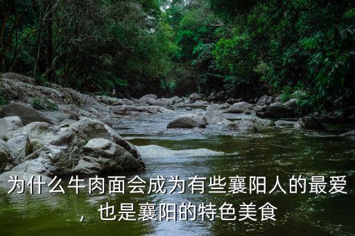 方記襄陽牛肉面怎么樣,襄陽市哪些襄陽牛肉面館好吃
