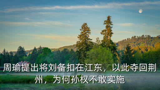 周瑜提出將劉備扣在江東，以此奪回荊州，為何孫權不敢實施