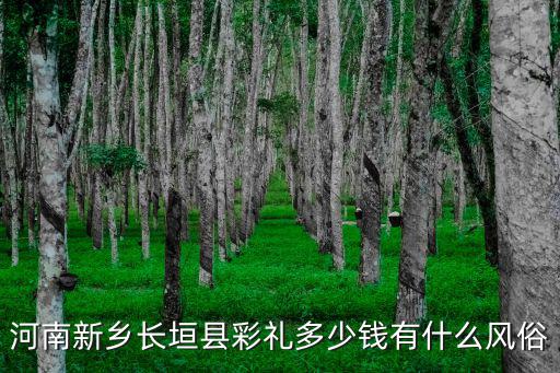 新鄉男方訂婚彩禮多少錢,河南新鄉長垣縣彩禮多少錢